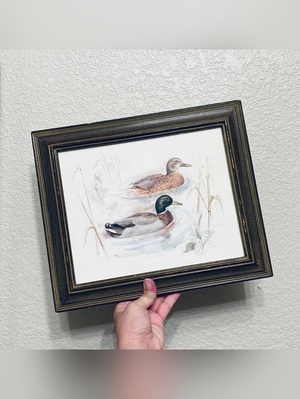 Vintage Duck Print Framed Wall Art Mallard Pair Rustic Cabin Man Cave